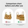 imageDGAZ Purse Organizer InsertSilk Bag OrganizerLuxury Handbag ampamp Tote Shaper Fits Lindy 19263034 BagsPinkLD26Biscuit color