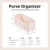 imageDGAZ Silk Purse Organizer Insert Fits Halzan mini202531Silky Smooth Bag OrganizerLuxury Handbag ampamp Tote ShaperCraieHalzan mini20Craie