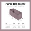 imageDGAZ Silk Purse Organizer Insert Fits Halzan mini202531Silky Smooth Bag OrganizerLuxury Handbag ampamp Tote ShaperCraieHalzan mini20Konjac Purple